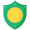 Use your Rex Card Icon